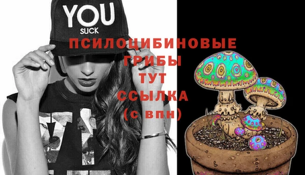 мдма Рославль