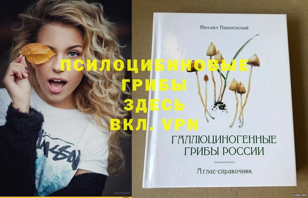 спайс Россошь