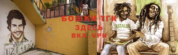марки lsd Пионерский