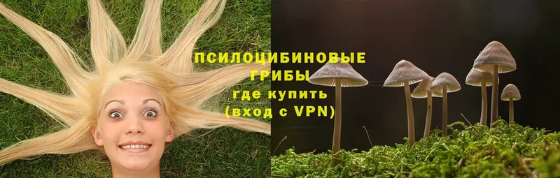 OMG зеркало  Солигалич  Псилоцибиновые грибы Magic Shrooms  даркнет сайт 